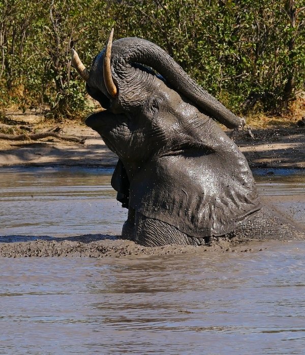 13 Tage Safari & Sansibar